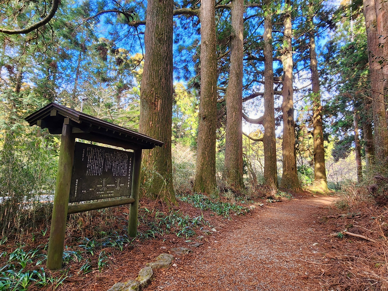 하코네 하치리 2-6.jpg