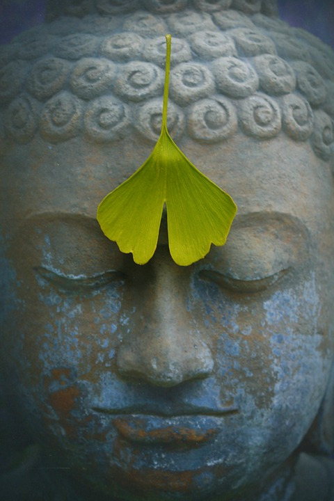 buddha-2728793_960_720.jpg