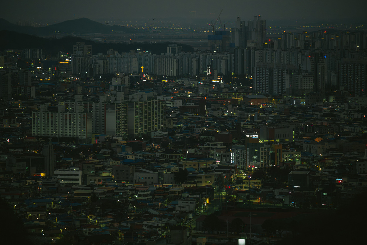 DSC_3393-향상됨-노이즈 감소.jpg