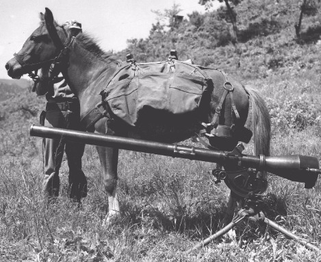 1920px-Sgt_Reckless_with_recoilless-rifle.jpg