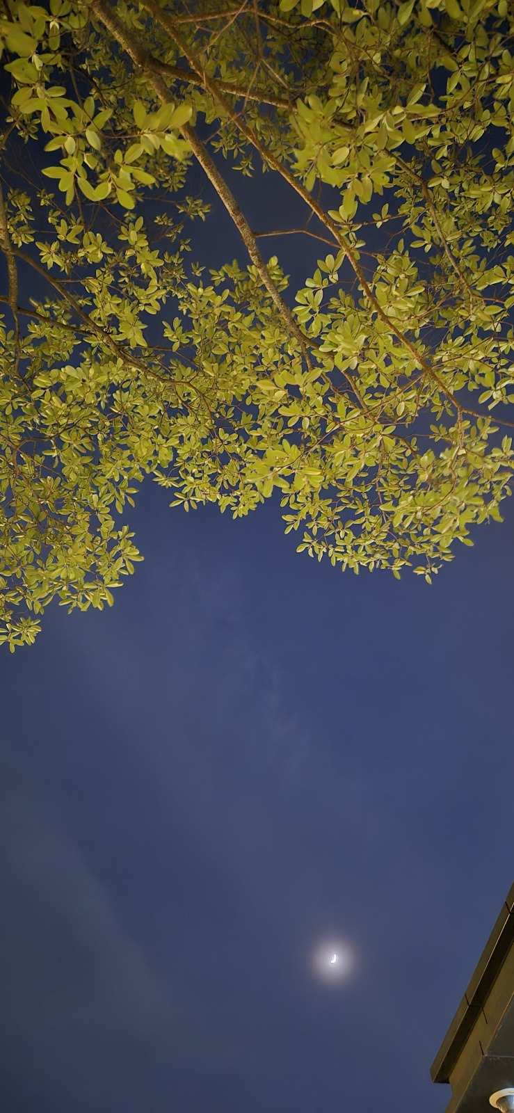 KakaoTalk_20240611_213838286_02 (1).jpg