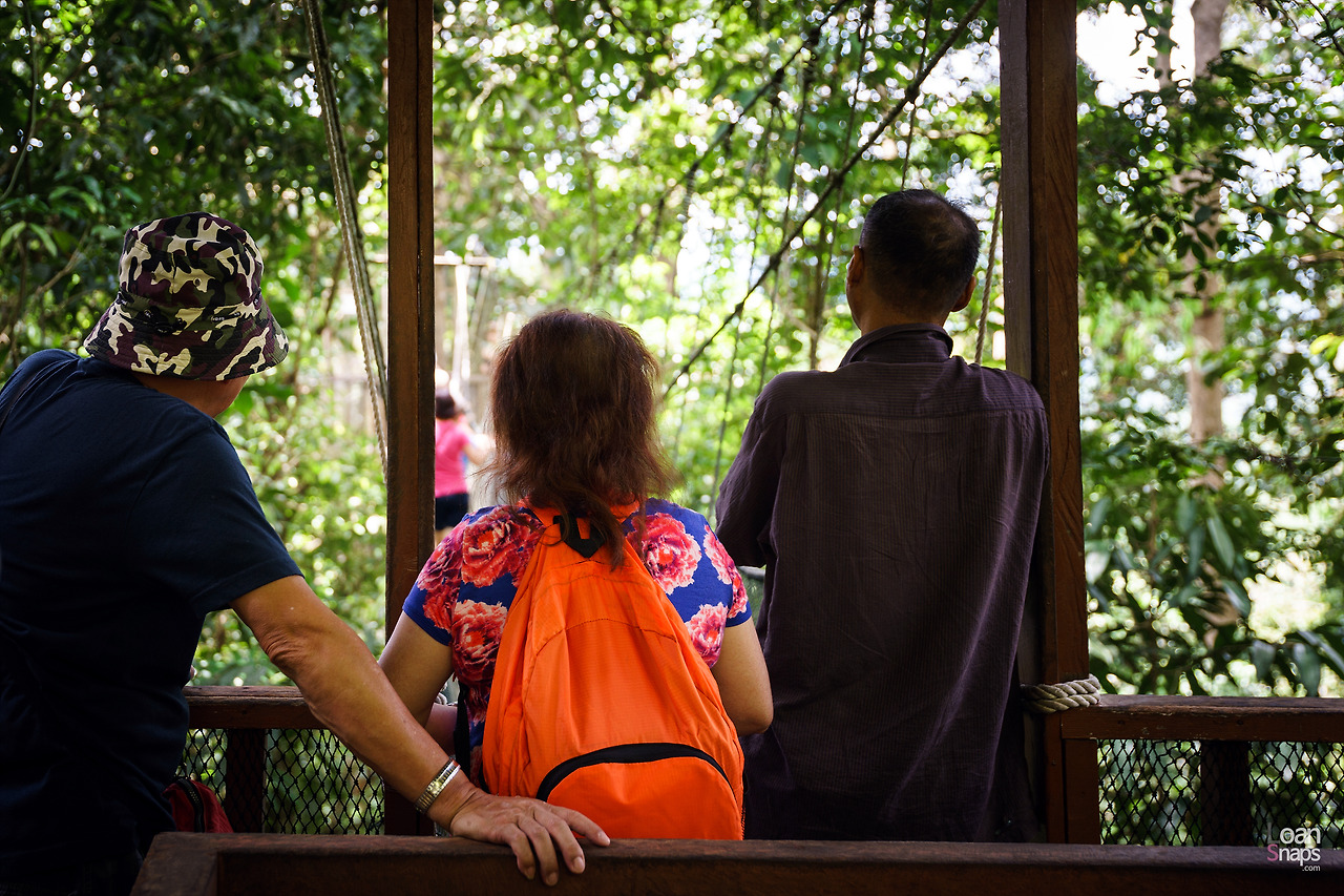 키나발루산 국립공원_13.jpg