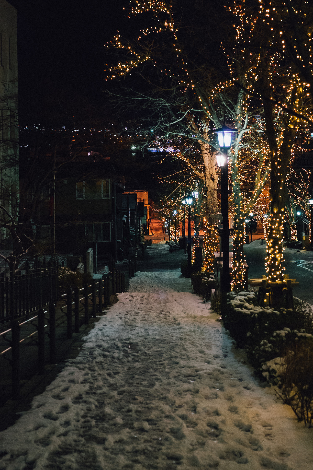 일본 홋카이도 하코다테 여행 05.jpg