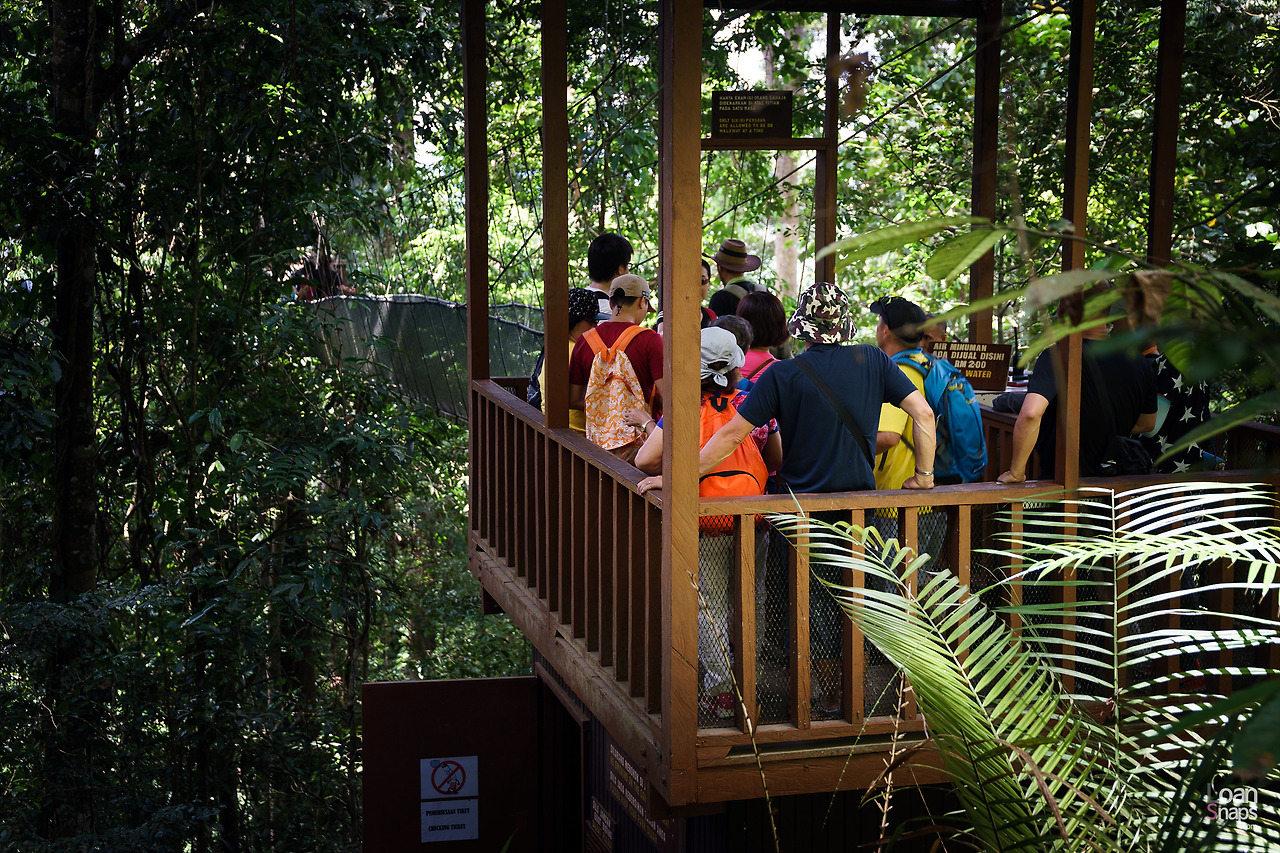 키나발루산 국립공원_12.jpg