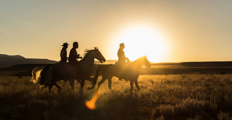 크기변환_movie_image (7).jpg