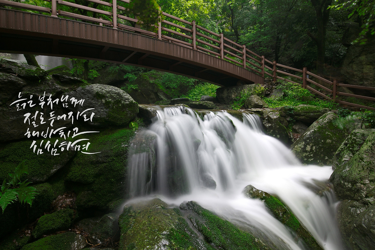 KUMO04copy - 복사본.jpg