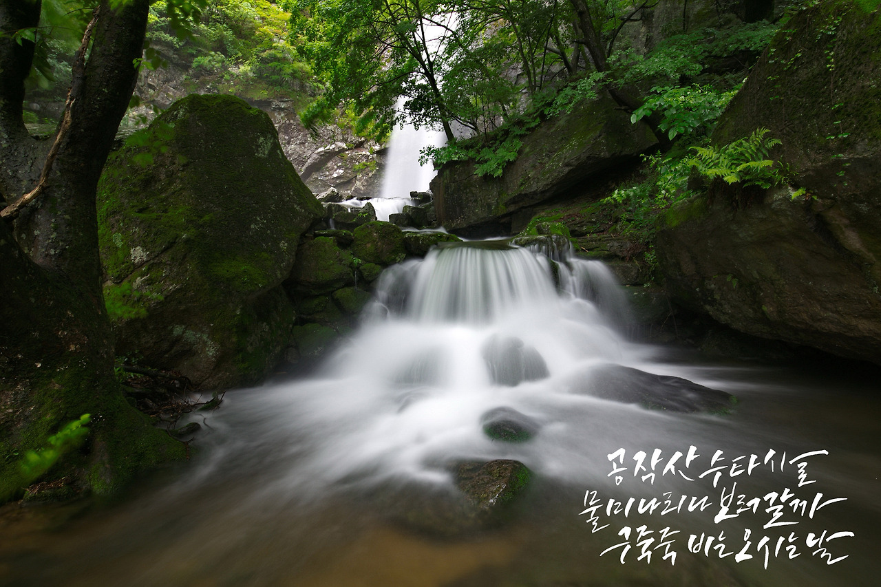 KUMO01 copy - 복사본.jpg