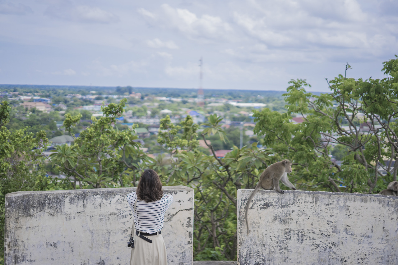 01_태국의 흔한 원숭이_03.jpg