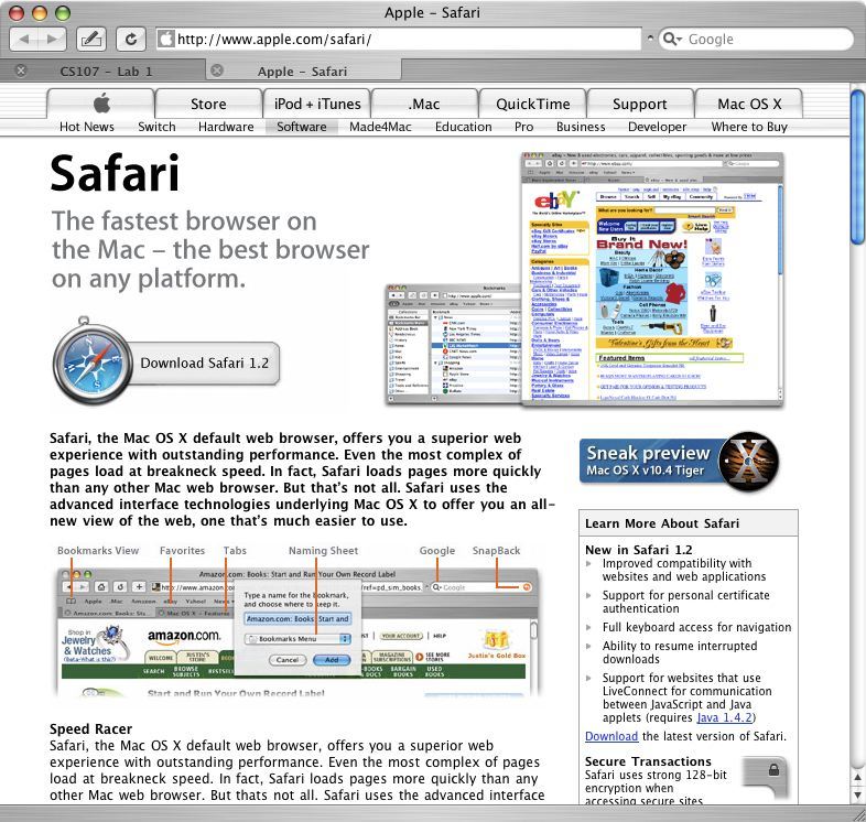 safari1.jpg