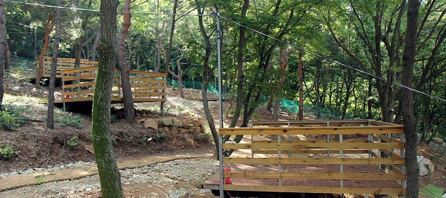 강화도 아침펜션 & 캠핑장 (1).jpg