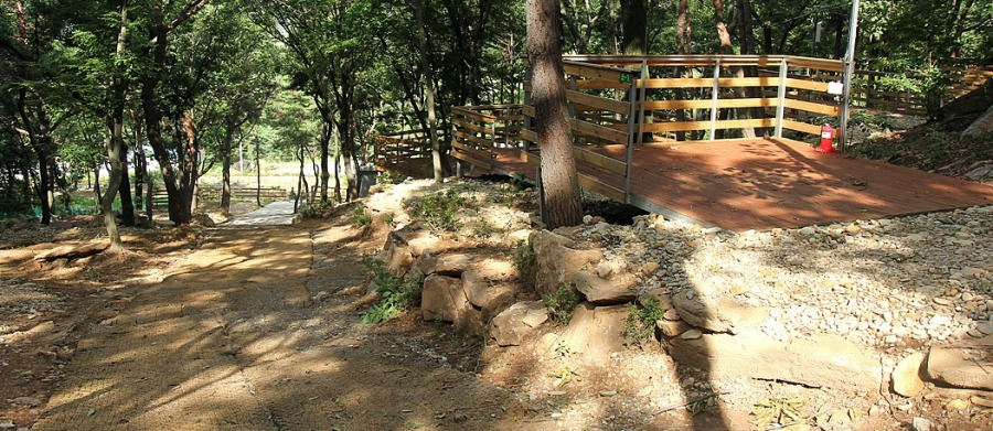 강화도 아침펜션 & 캠핑장 (2).jpg