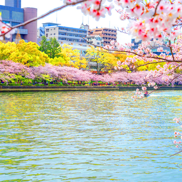 03 오사카 나카노시마.jpg