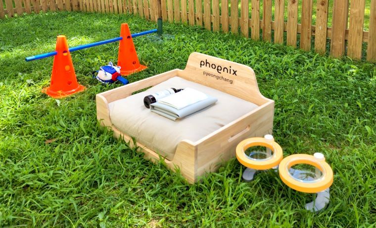 4_ 강원도 애견동반 숙소_2.jpg