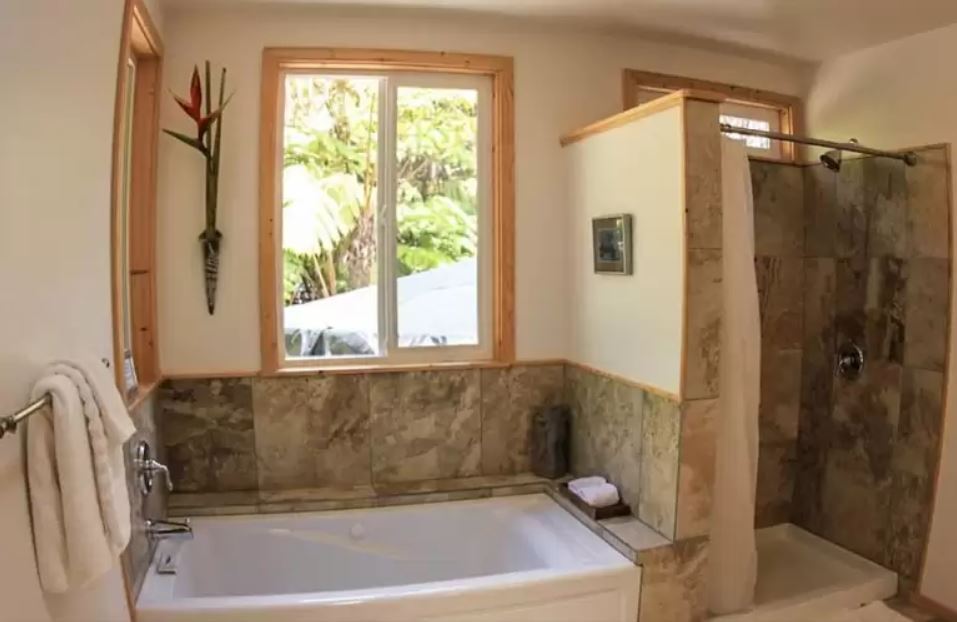 헤일 오나오나 (5).jpg