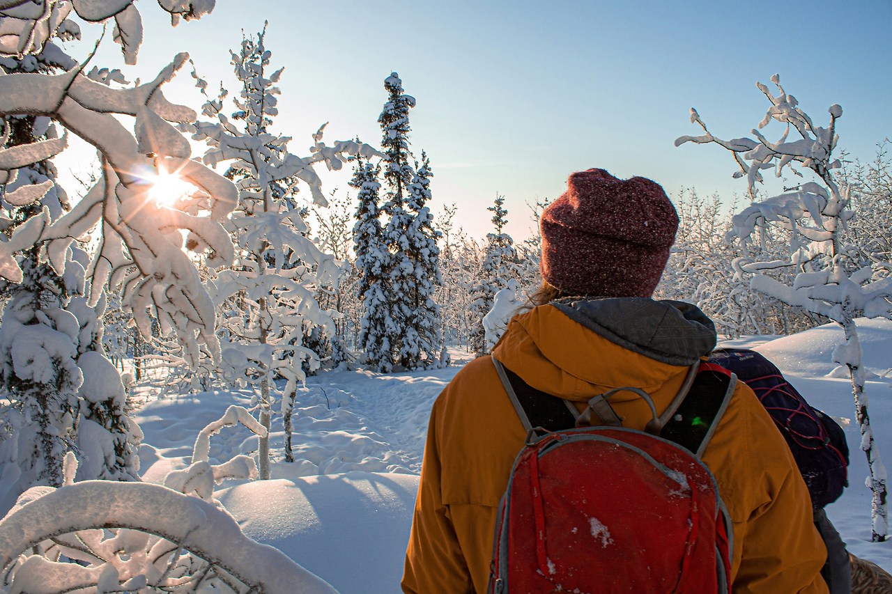 4_캐나다_옐로우나이프 (1).jpg