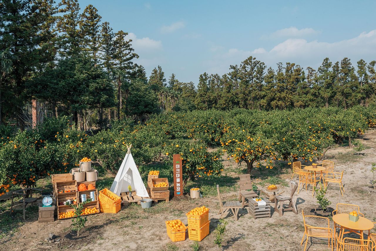 제주도 가족여행 야크마을 리조트 (2).jpg