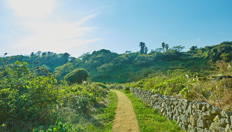 히든 클리프 호텔&네이쳐 (2).jpg