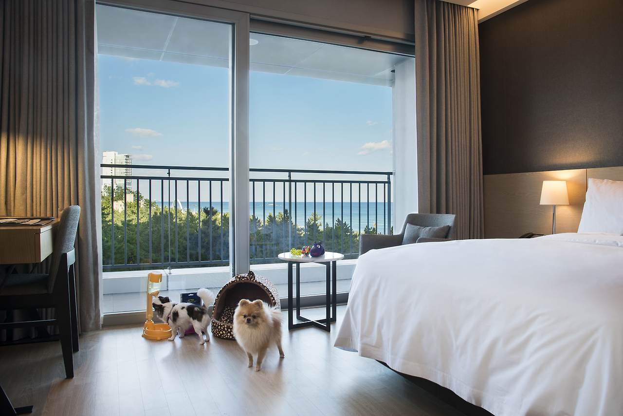 3_세인트존스 호텔_2.jpg