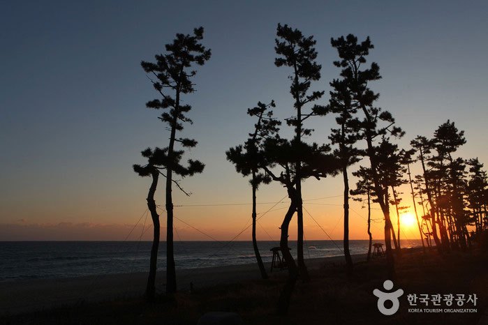 썬크루즈호텔&리조트 (18).jpg