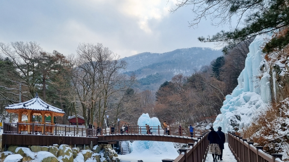 12239_20370_4338 (1).jpg