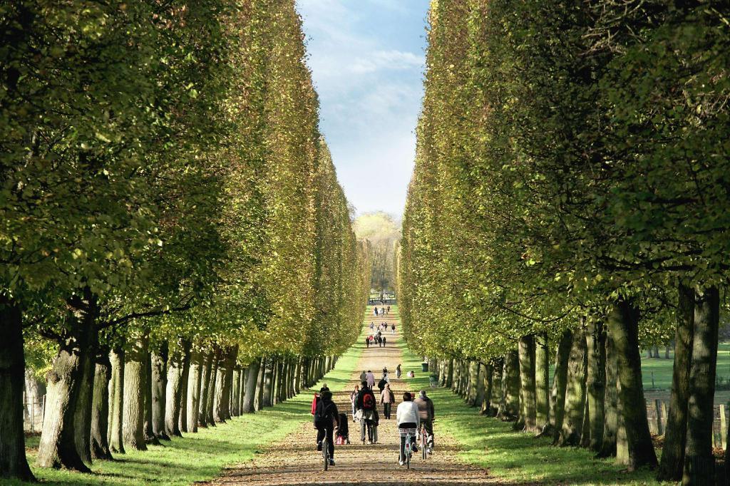 trianon-palace-versailles-a-waldorf-astoria-hotel (8).jpg