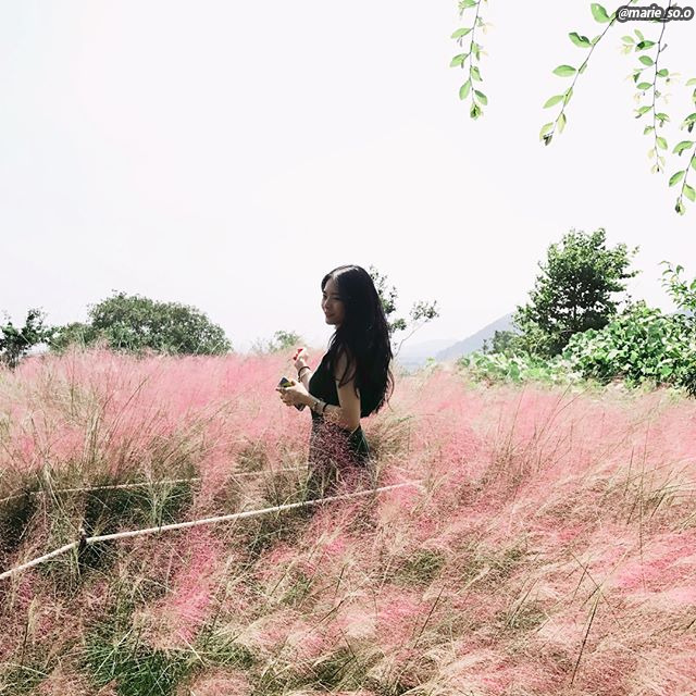 03 마노르블랑 제주.jpg