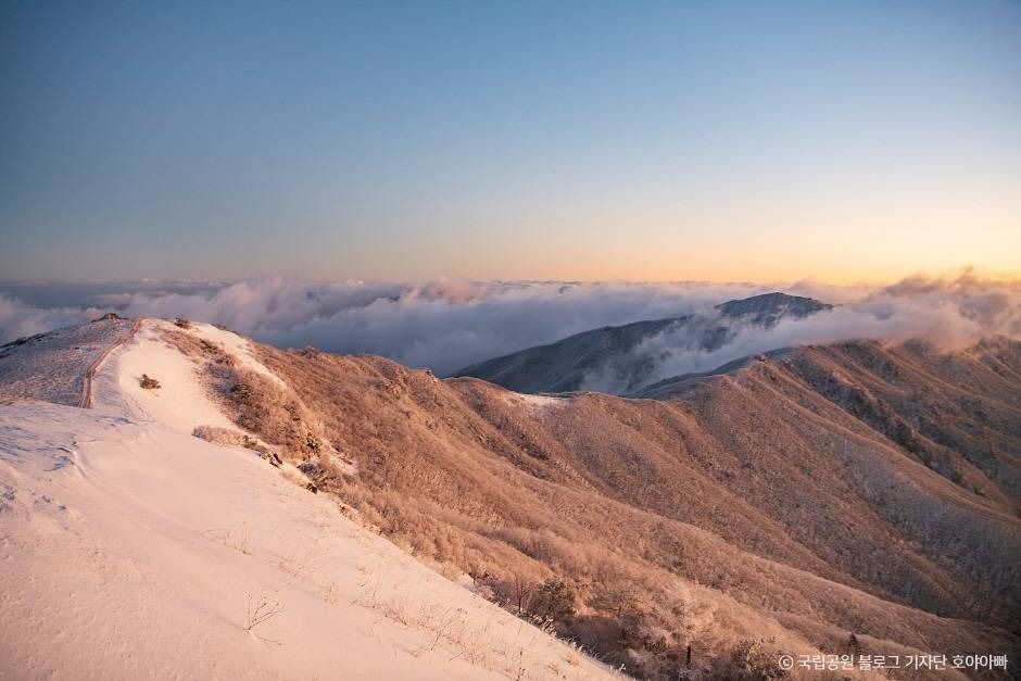소백산 풍기 온천 리조트 (16).jpg
