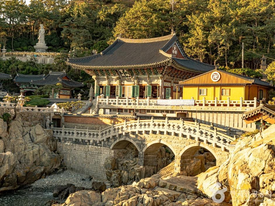 호시카게부산 (18).jpg