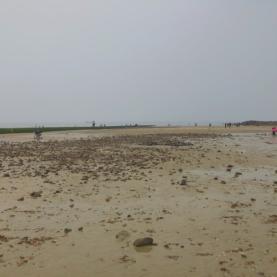 03 갯벌 체험.jpg