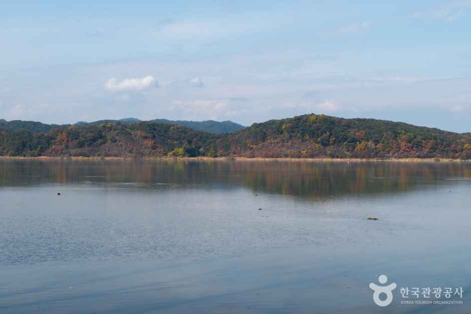 창녕스테이더담 (18).jpg