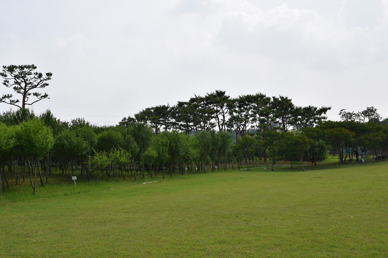 한국도로공사 전주수목원 (2).jpg