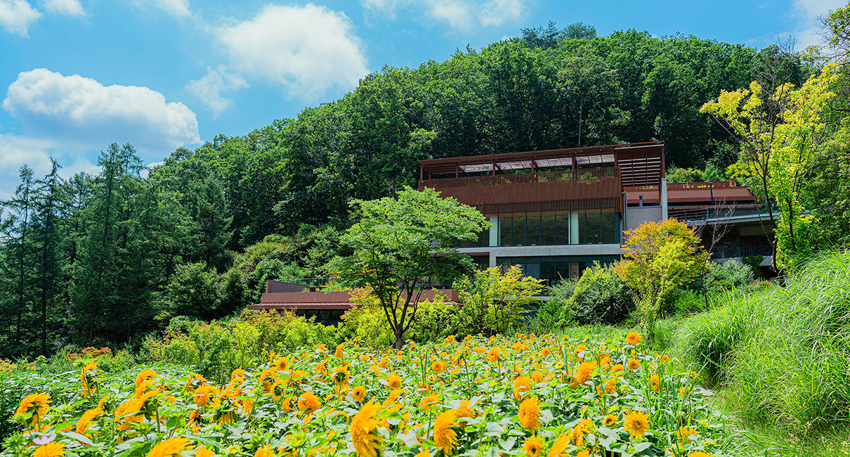 선마을 메인2.jpg