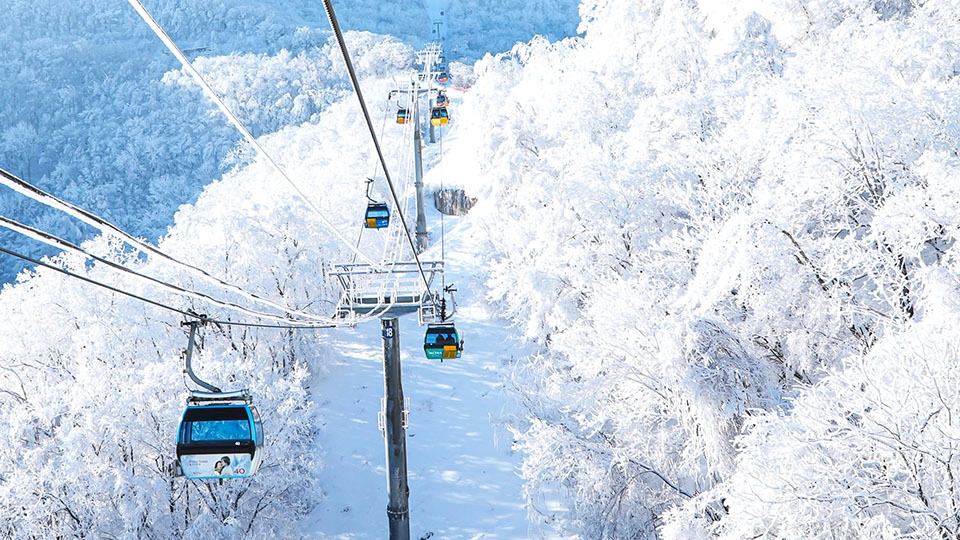 3_평창숙소_모나 용평1.jpg