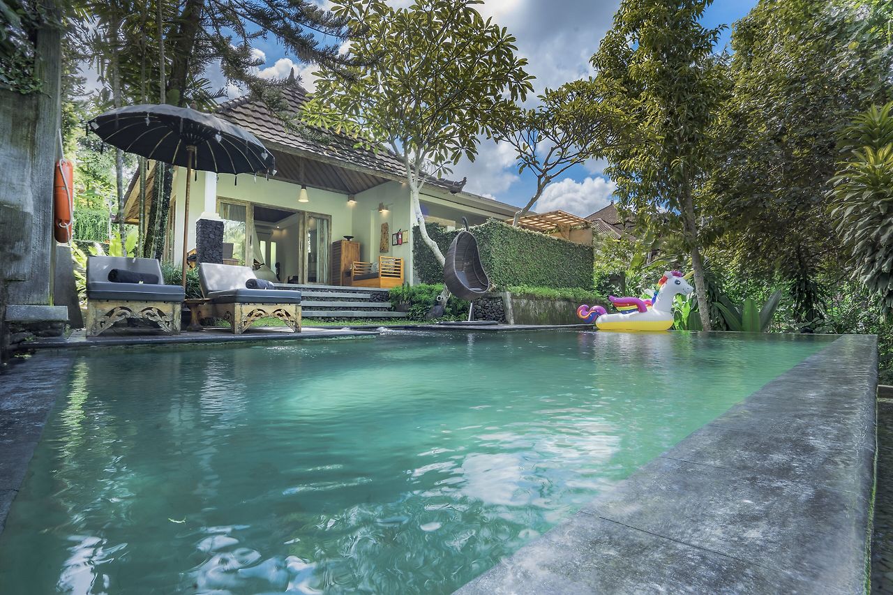 1_발리 카자네무어 (1).jpg