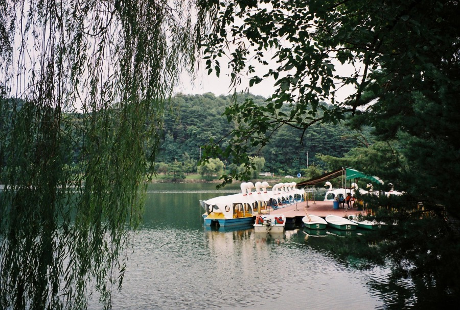 제천 관광지 (2).jpg