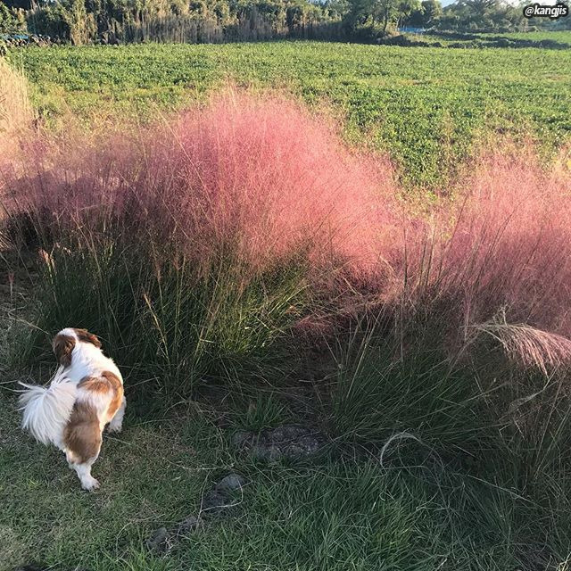 02 방주교회.jpg