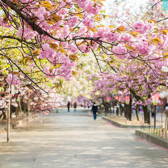 01 오사카 조폐국.jpg