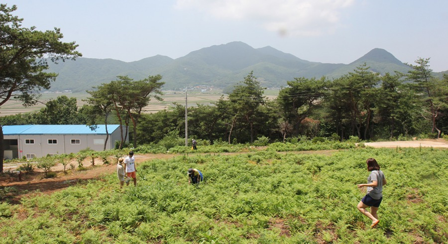 강화도 아침펜션 & 캠핑장 (4).jpg