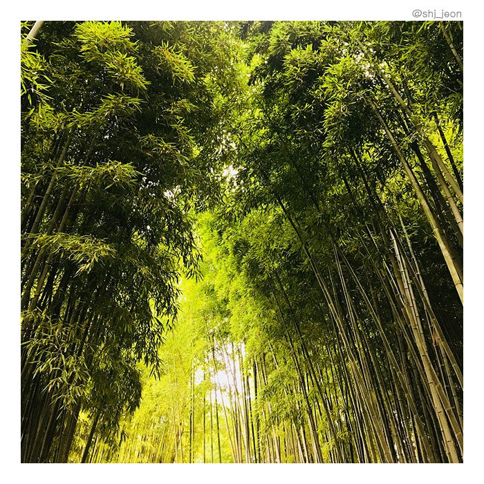 07 담양.jpg