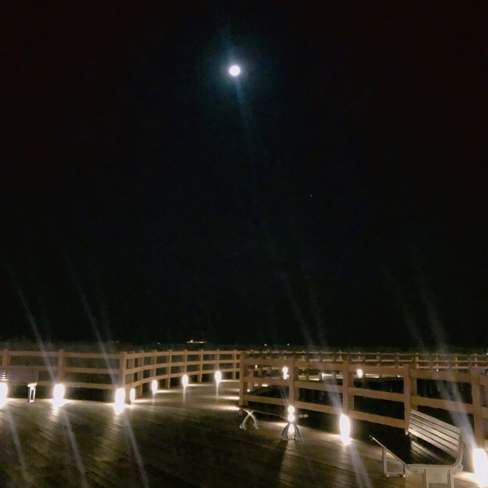 06 다대포해수욕장.jpg