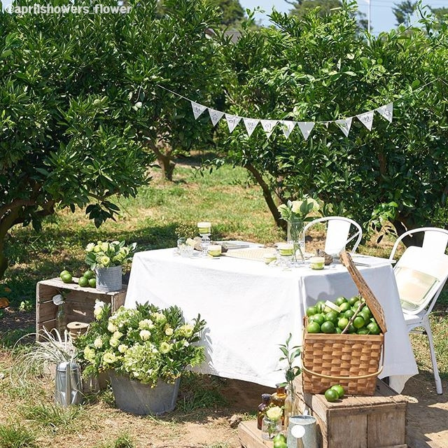 05 아날로그 감귤밭.jpg