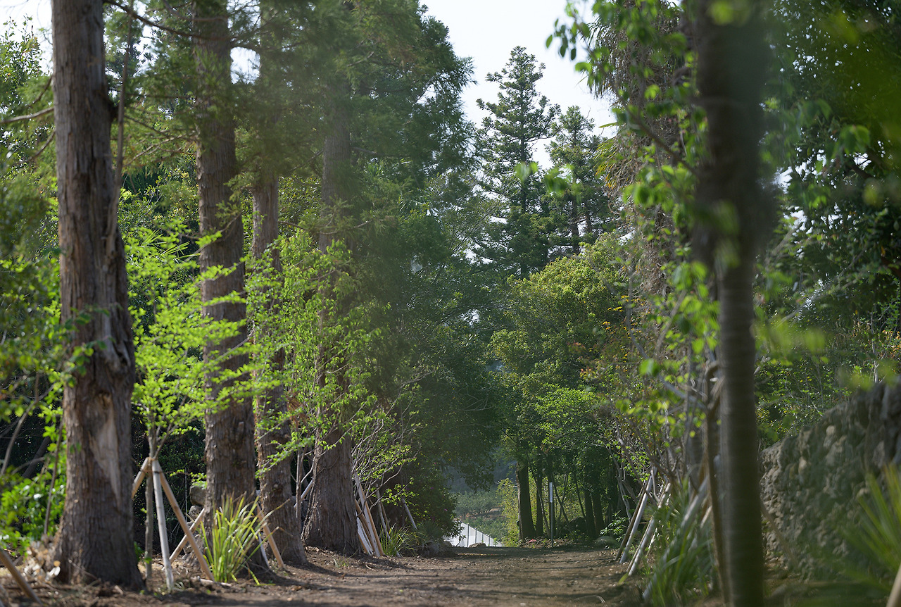 제주도 가족여행 야크마을 리조트 (15).jpg