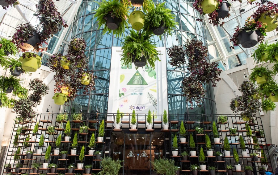 하이원하늘길하이원 그랜드 마운트 호텔 (5).jpg