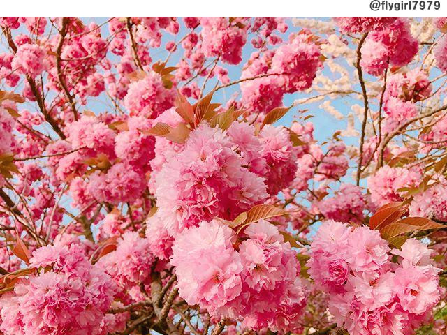 02 개심사.jpg