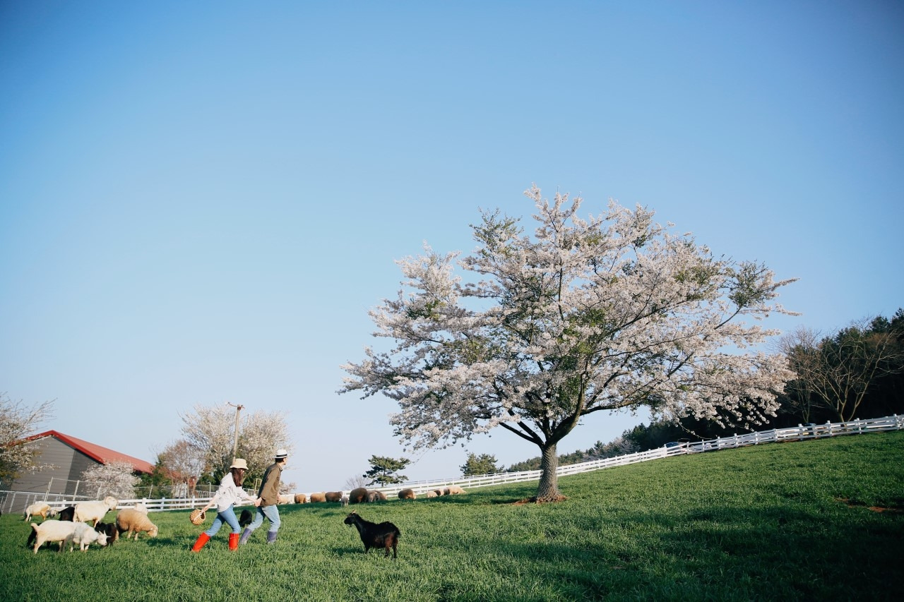 다운로드 (1).jpg