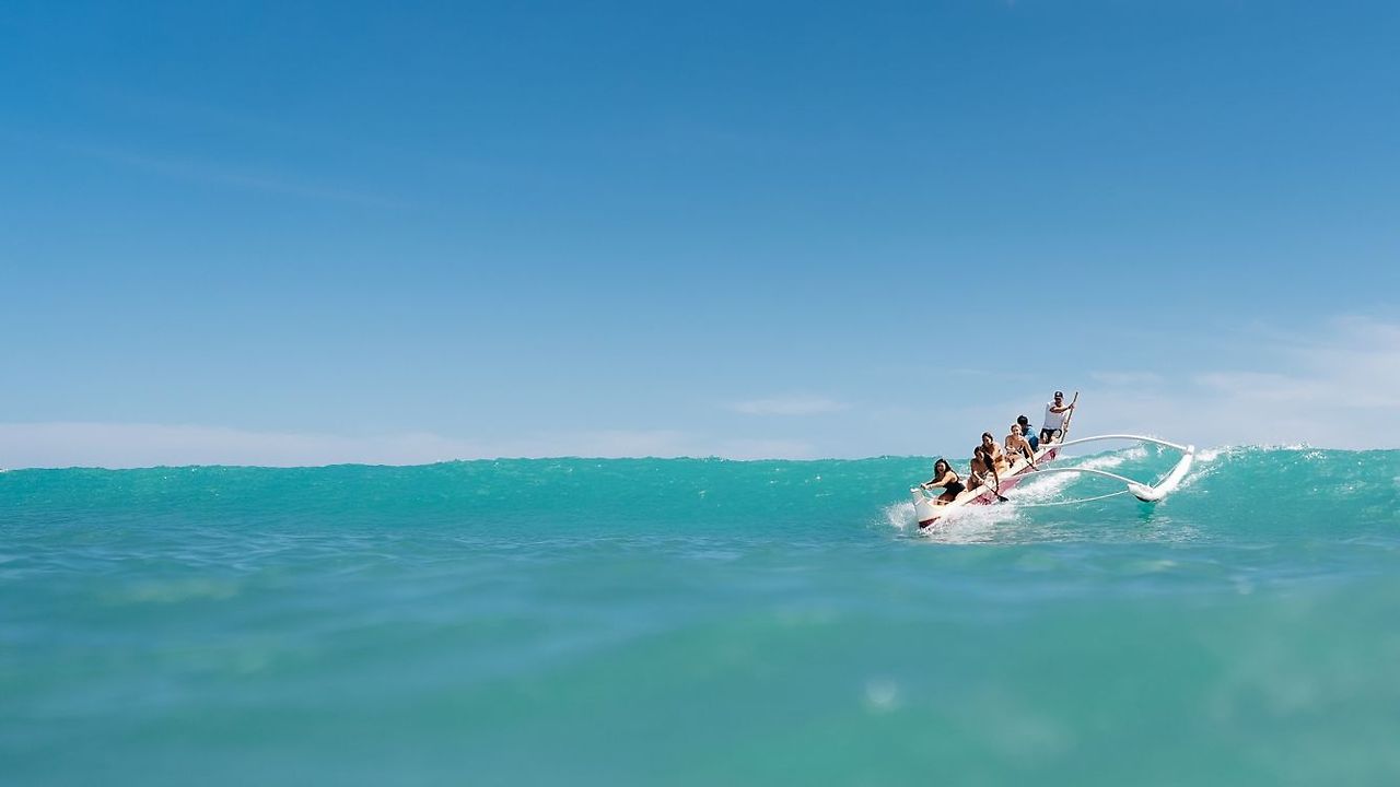 하와이 쉐라톤 와이키키 (14).jpg