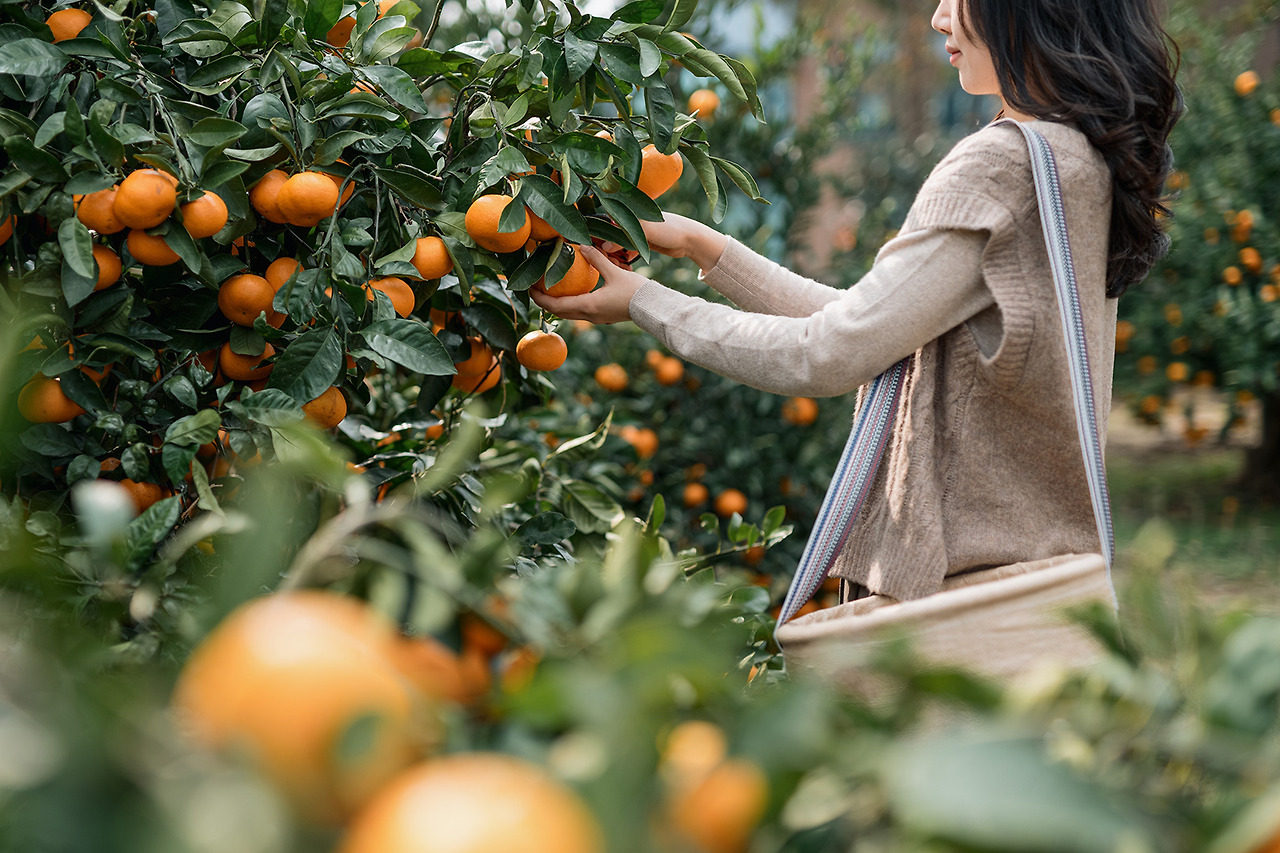 제주도 가족여행 야크마을 리조트 (14).jpg