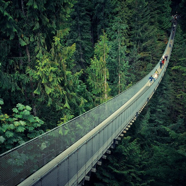 06 캐필라노 서스펜션 브릿지.jpg