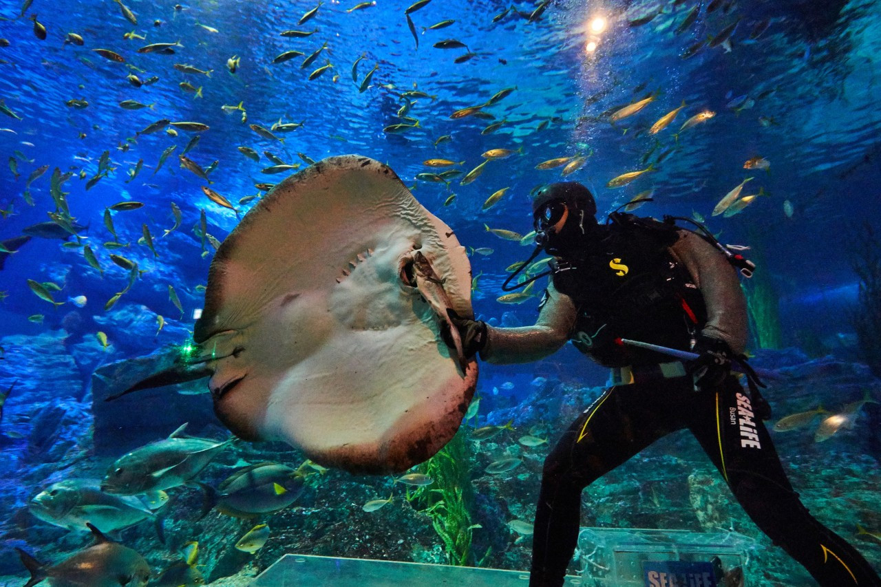 부산해운대코오롱씨클라우드호텔 (17).jpg