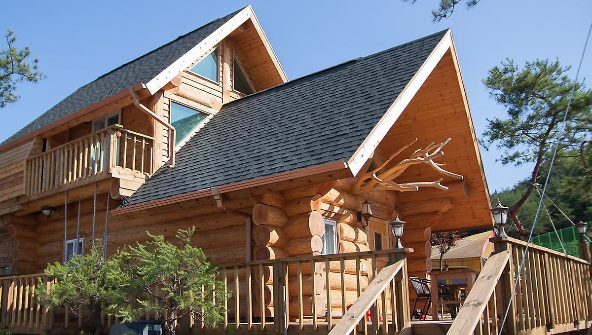 숲속애 통나무 마을 (2).jpg